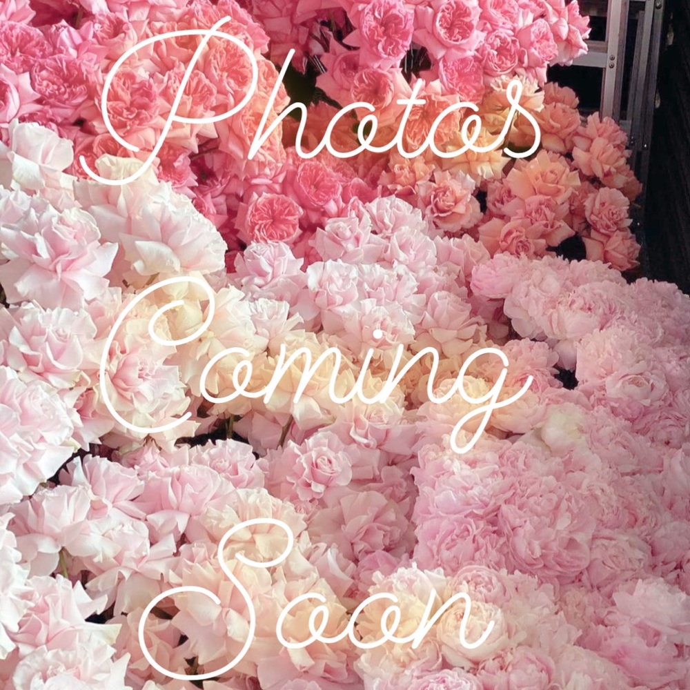 Zara midi skirt. NWOT